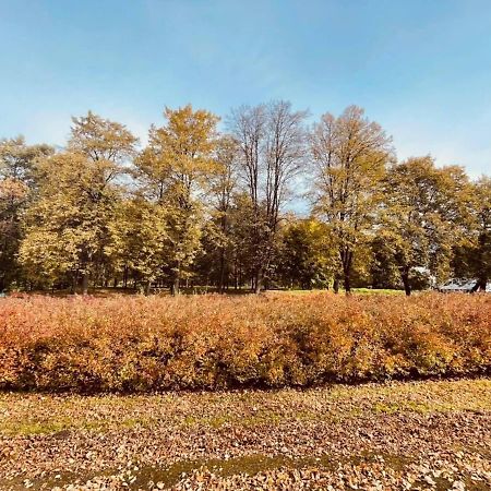 Apartamenty Ktw Silesia City Center - Park Slaski Katovice Exteriér fotografie