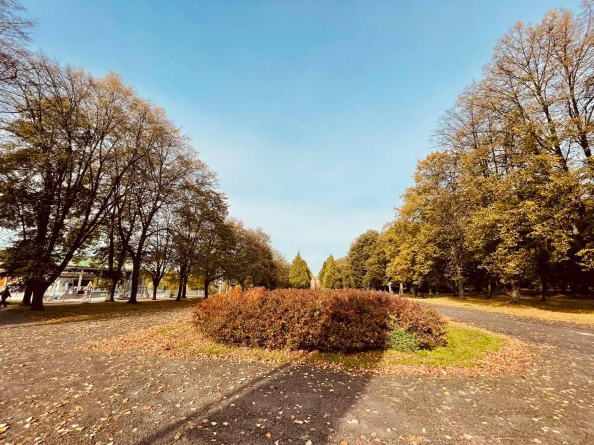Apartamenty Ktw Silesia City Center - Park Slaski Katovice Exteriér fotografie